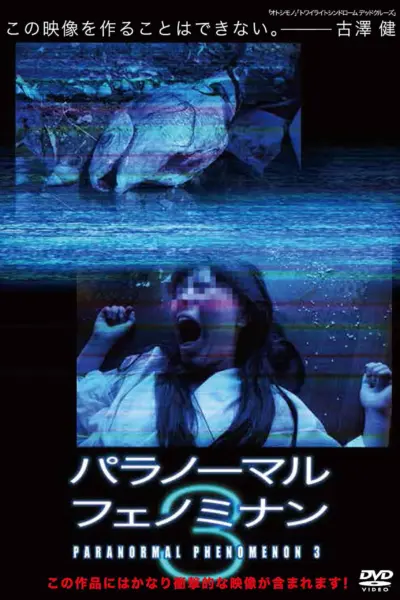 Paranormal Phenomenon 3 (2010) poster