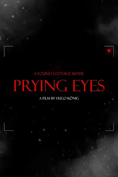 Prying Eyes (2011) poster