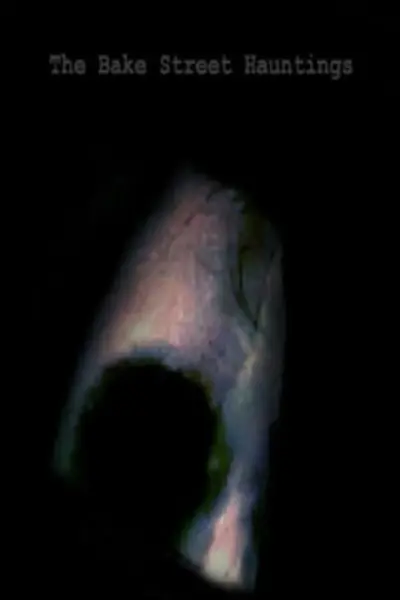 The Bake Street Hauntings (2011) poster