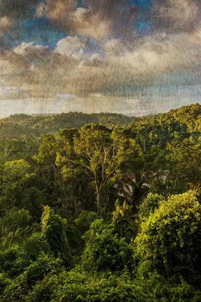 The Cannibal in the Jungle (2015) poster