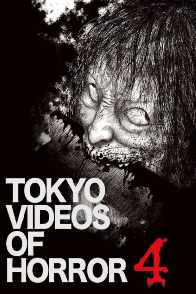 Tokyo Videos of Horror 4 (2012) poster