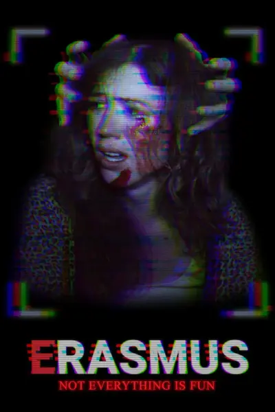 Erasmus: Not Everything Is Fun (2016) poster