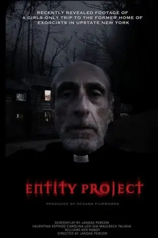 Entity Project (2019) poster