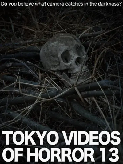 Tokyo Videos of Horror 13 (2015) poster