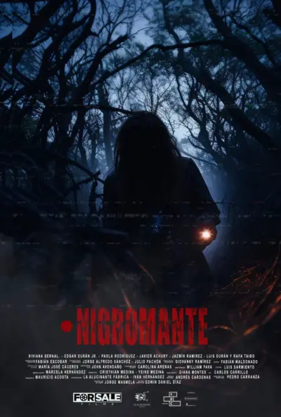 Necromancer (2023) poster