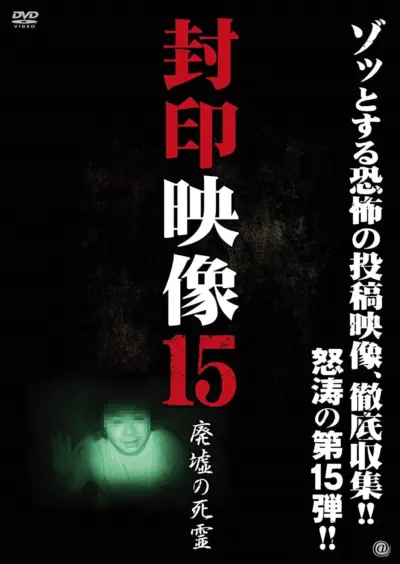 Sealed Video 15: Ruined Dead Spirit (2014) poster