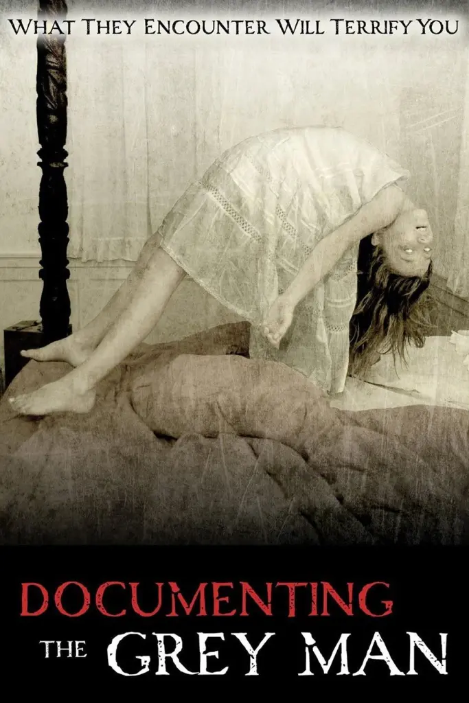 Documenting the Grey Man (2011) poster