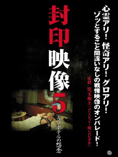 Sealed Video 5: Love Hotel Grudge (2011) poster