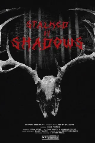 Stalked by Shadows (2024) poster