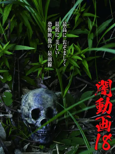 Tokyo Videos of Horror 18 (2018) poster