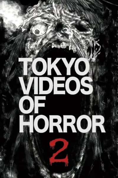 Tokyo Videos of Horror 2 (2012) poster