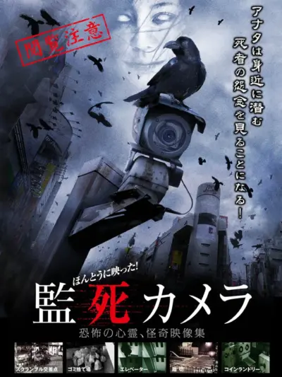 Paranormal Surveillance Camera (2012) poster