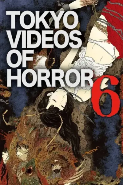 Tokyo Videos of Horror 6 (2013) poster