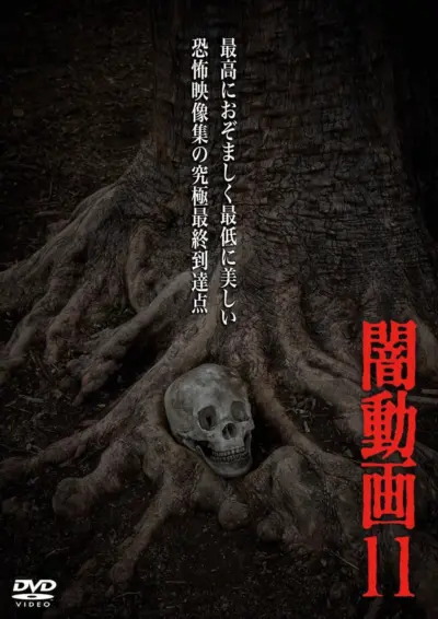 Tokyo Videos of Horror 11 (2014) poster