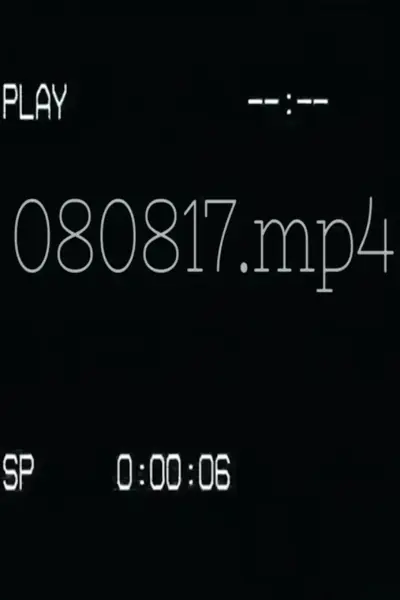 080817.mp4 (2017) poster