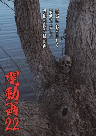 Tokyo Videos of Horror 22 (2019) poster