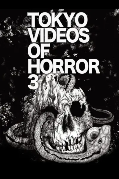 Tokyo Videos of Horror 3 (2012) poster