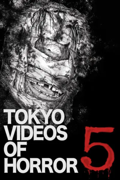 Tokyo Videos of Horror 5 (2013) poster