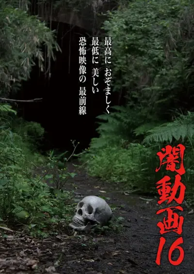 Tokyo Videos of Horror 16 (2017) poster